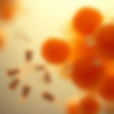 Magnificent Enterococcus faecalis in Urine Culture: Insights and Implications