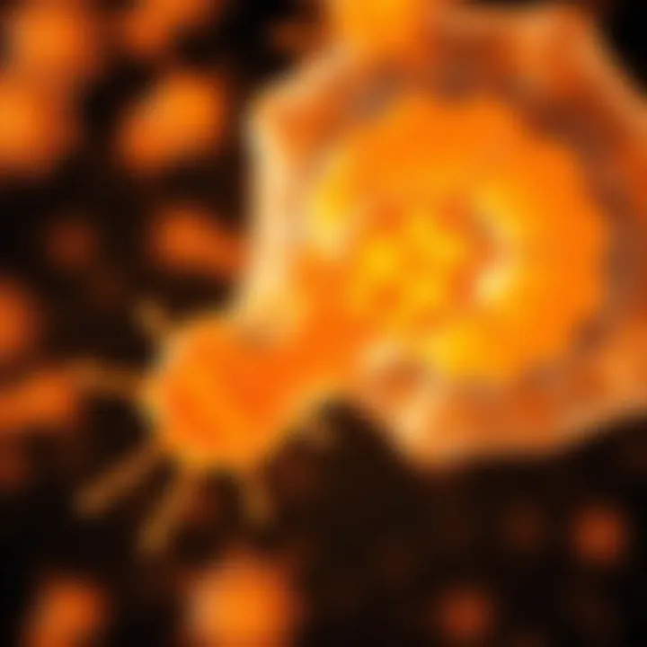Magnificent Exploring E. coli DE3: A Comprehensive Examination