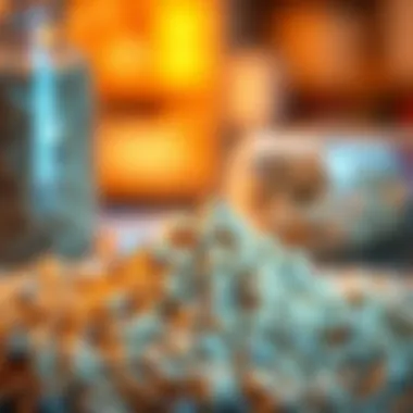 Magnificent Exploring Protein Content in Cereals