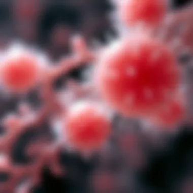 Magnificent HACAT Keratinocytes: A Comprehensive Exploration Magnificent HACAT Keratinocytes: A Comprehensive Exploration