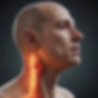 Magnificent Understanding P16 Positive Head and Neck Cancer: Insights and Implications