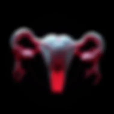 Magnificent Understanding the Size of an Ovary