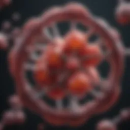 Molecular structure of Factor VIII