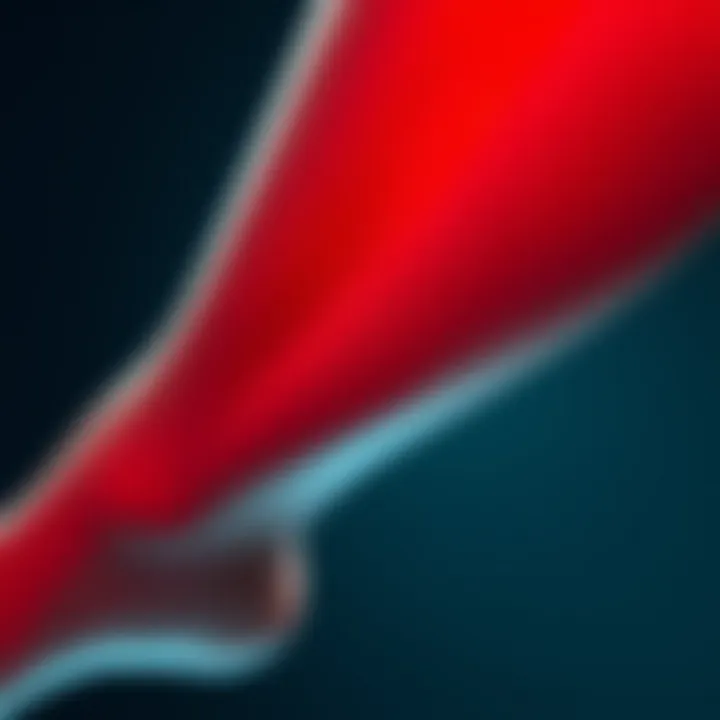 An In-depth Exploration of Varicose Vein Classification Summary