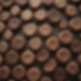Illustration of different stool textures categorized by consistency