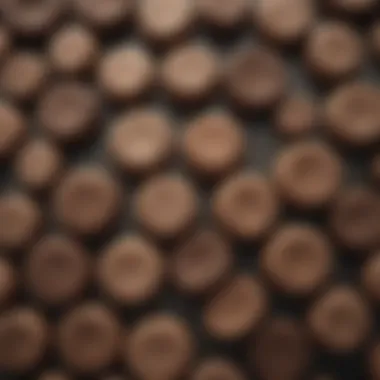 Categorization of Stool Textures Illustration of different stool textures categorized by consistency