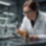 A researcher observing a laboratory animal in a controlled environment.