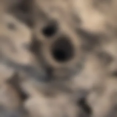 Close-up of the geological formations within the crater, highlighting the diverse rock types.