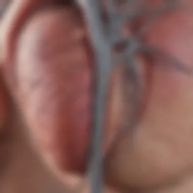 Schematic representation of atrial flutter mechanisms