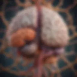 Visual representation of the gut-brain axis illustrating microbial influence on cognitive functions.