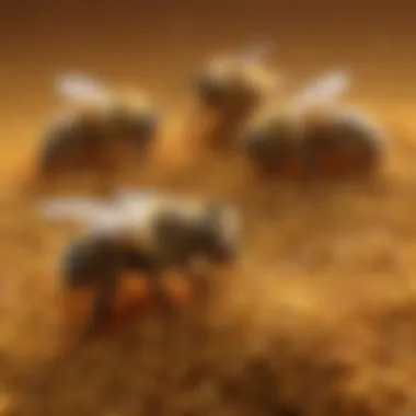 Bee Pollen Granules Close-up view of bee pollen granules highlighting its texture and color
