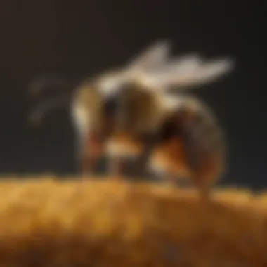 Impact of Bee Pollen on Weight Loss Graph illustrating scientific findings on bee pollen's impact on weight loss
