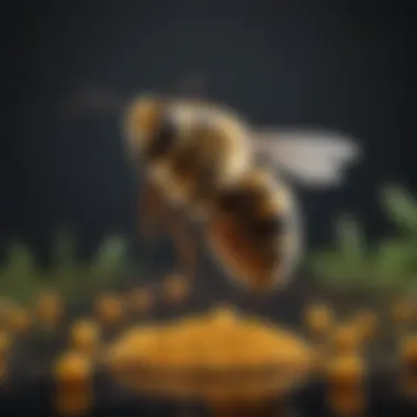Bee Pollen Dietary Supplements Wellness products showcasing bee pollen as a dietary supplement