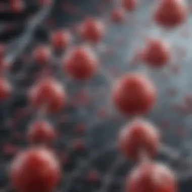Biochemical Mechanisms Affecting Hemoglobin Graph presenting the biochemical pathways affecting hemoglobin levels in diabetic patients