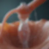Therapeutic bladder irrigation technique