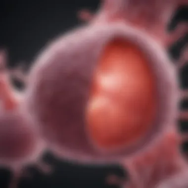 Breast Cancer Metastasis to Lungs Illustration depicting breast cancer cells affecting lung tissue
