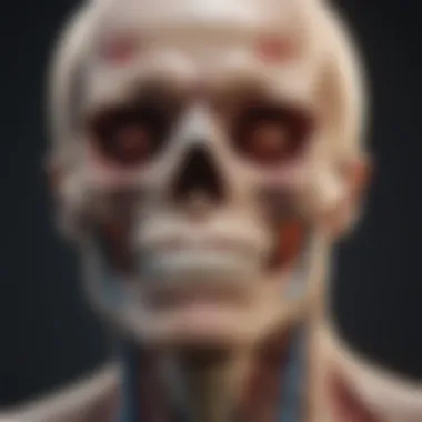 Diagram showing types of cancers that commonly metastasize to bone.