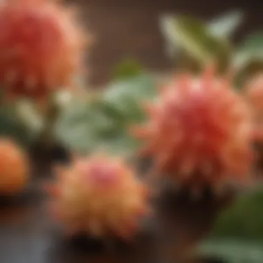 Illustration depicting the bioactive compounds found in Caralluma extract.