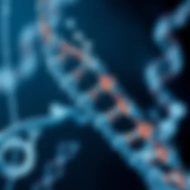Chemical Structure of DNA and Solubility Chemical structure of DNA highlighting its solubility