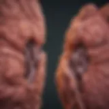 Illustration depicting cirrhosis and liver cancer link