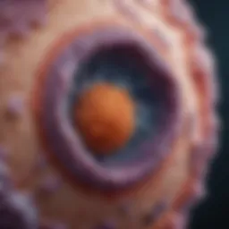 Microscopic view of clear cell renal cell carcinoma tissue