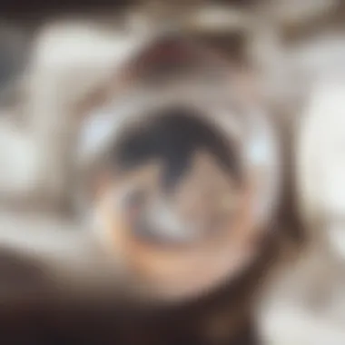 Advanced Technology on Mars Rover Close-up of rover's scientific instruments and technology