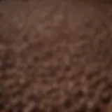 A scientific representation of coffee beans with molecular structures