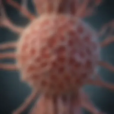 Treponema Pallidum Structure Diagram illustrating the bacterium Treponema pallidum