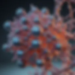 Detailed structure of the kod enzyme illustrating its molecular configuration