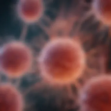 Unique Characteristics of Pluripotent Stem Cells Visual representation of pluripotent stem cell characteristics