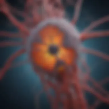 Diagram illustrating Hepatitis B transmission routes