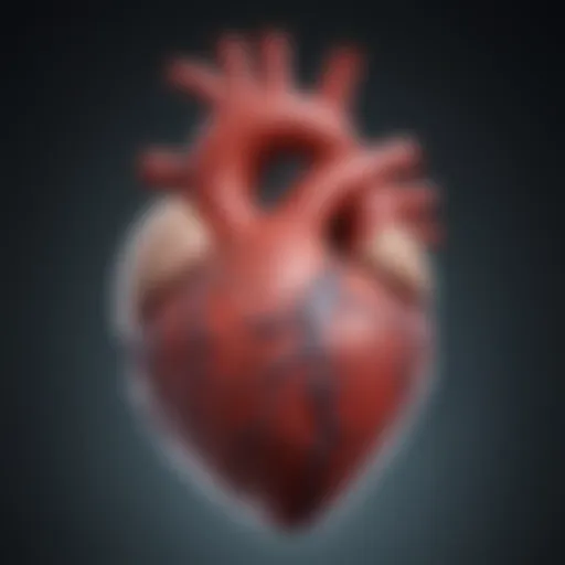 High-resolution echocardiogram showcasing heart chambers