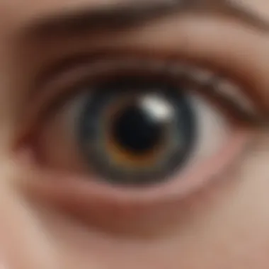 Innovative Diagnostic Tools for Retinal Health Innovative diagnostic tools for assessing retinal health