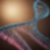Illustration of genomic sequencing