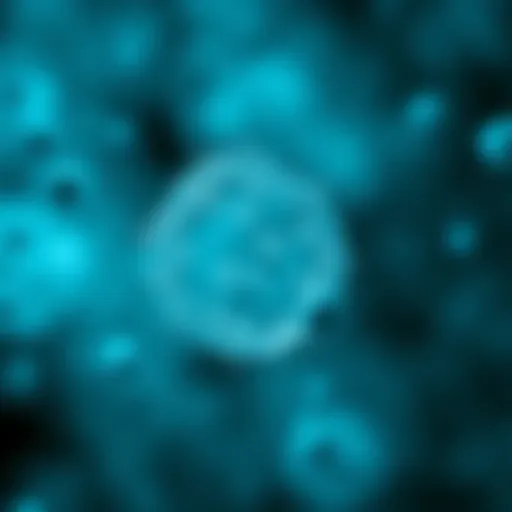 Microscopic view of E. coli bacteria