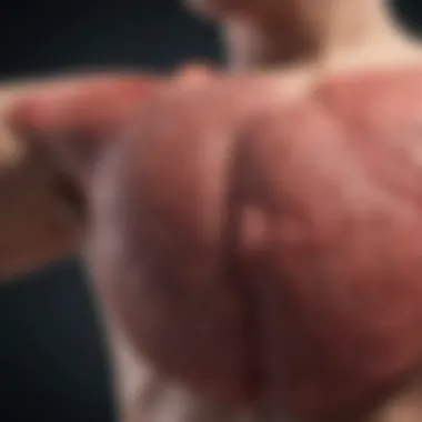 Early Detection of Liver Conditions Visual on early detection methods for liver conditions