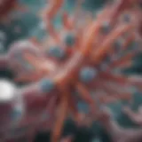 Bacterial structure of Clostridium difficile