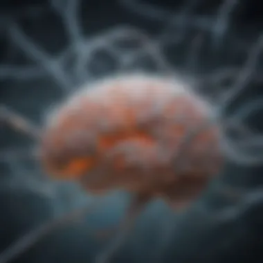 Brain illustration depicting neural connections