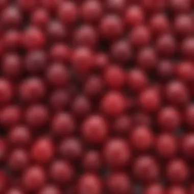 Diagram illustrating the biochemical properties of cranberries