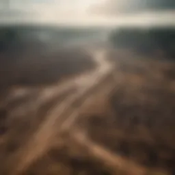 Vast landscape of deforested land showing the impact of livestock farming.