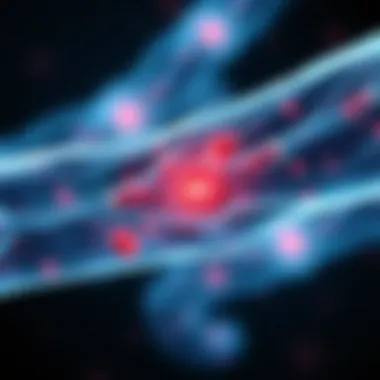 Impact of Inflammation on Muscle Fibers Illustration of muscle fibers affected by inflammation