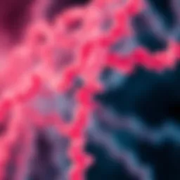 Microscopic view of amyloid fibrils