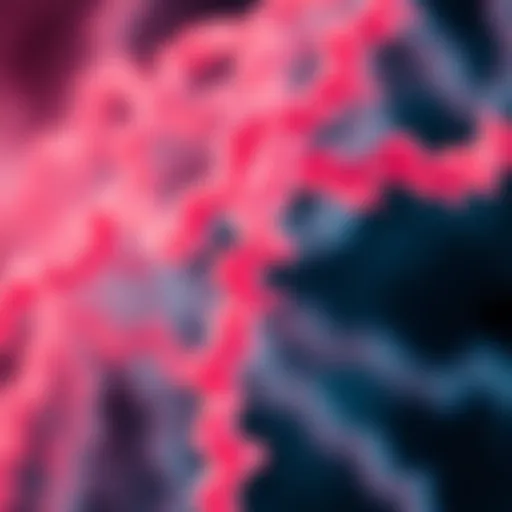 Microscopic view of amyloid fibrils