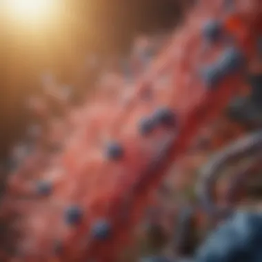 Illustration of immune system support