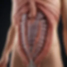 A detailed diagram of biologic mechanisms in ulcerative colitis treatment