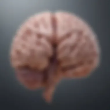 Illustration of a brain highlighting areas affected by Alzheimer's disease