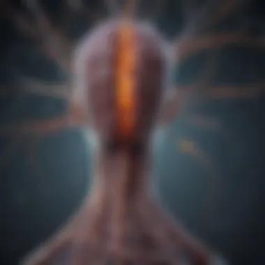Neural Pathways in Epilepsy and Aggression Neural pathways linking epilepsy and aggression