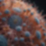 A detailed diagram illustrating cellular structures in biology