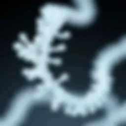 Illustration depicting the structure of Dynabeads Oligo DT