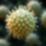 Exploring E. coli DE3: A Comprehensive Examination Introduction